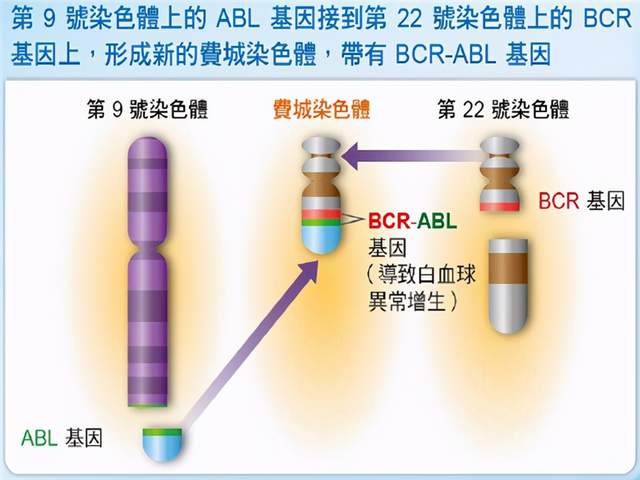 脱模剂检测标准与数据支持设计计划的重要性——以S72.79.62为例，全面应用数据分析_挑战款69.73.21