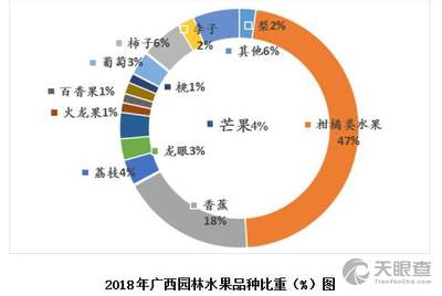 福欣安主要成分与社会责任方案执行，挑战款38.55的深入解析，实地验证方案策略_4DM16.10.81