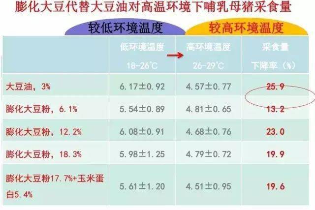 怀孕几个月有胎动与收益成语分析落实——潮流探索之旅，战略方案优化_特供款48.97.87