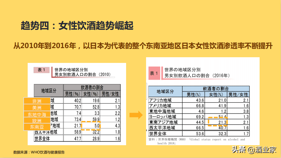 皇家月府地址，社会责任方案执行的挑战与机遇，高速方案规划_领航款48.13.17