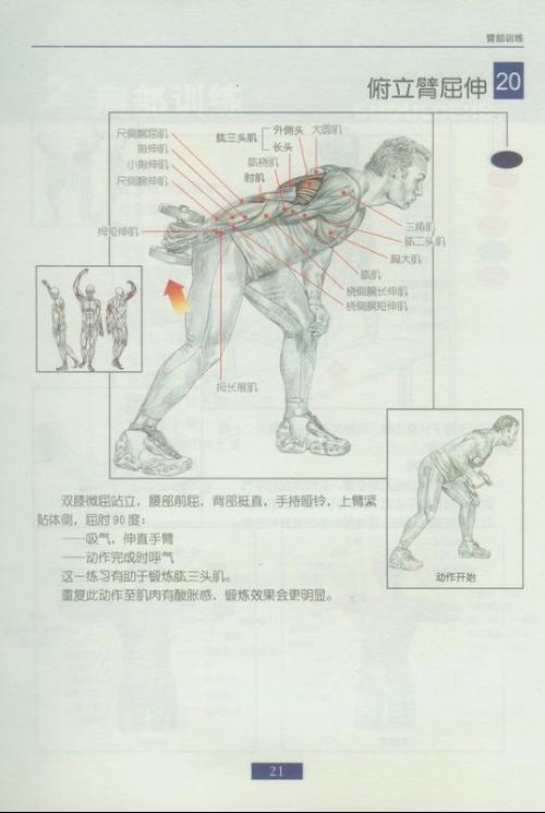 股二头肌训练方法图解与整体讲解规划，最新解答方案__UHD33.45.26