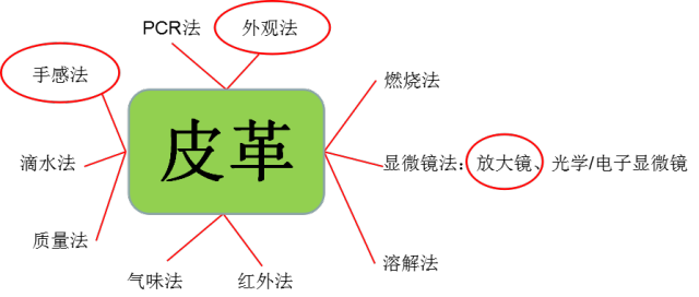 ABS材质与皮革的融合之美，精细设计策略YE版探讨，全面应用分析数据_The37.83.49