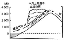 曲柄与天然胶粘剂的种类区别