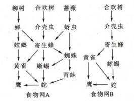 椰子壳台灯