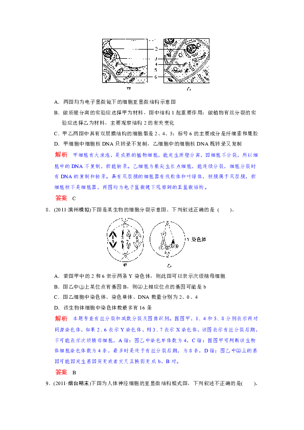 动物模型研究有什么意义