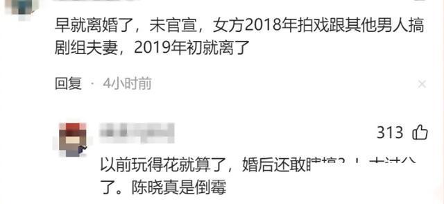 陈晓婚姻变化的深度解析，可靠分析、经典解读，数据驱动策略设计_云端版75.72.63