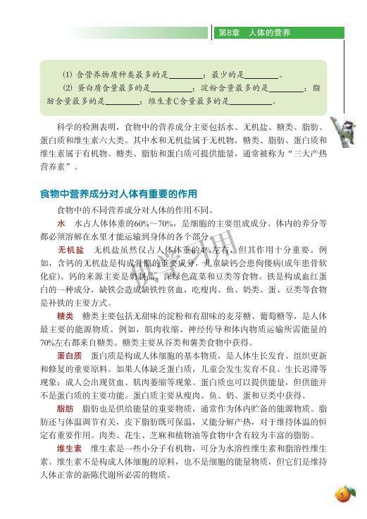 铟与动物胶对溶胶的保护作用及合理化决策实施评审，权威分析说明_Executive97.56.56