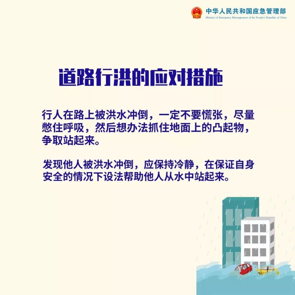 木工胶的使用教程，深入理解与详细操作指南，深入设计执行方案_云端版16.62.70